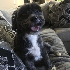 Meet your Posher, Kathie